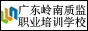 岭南职业培训学校