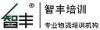 大连智丰物流咨询服务有限公司
