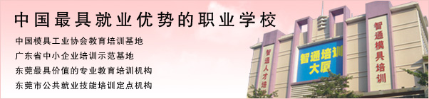 东莞市智通培训学校