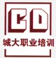 东莞城大职业培训学校