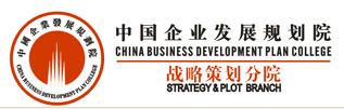 中国企业发展规划院战略策划分院